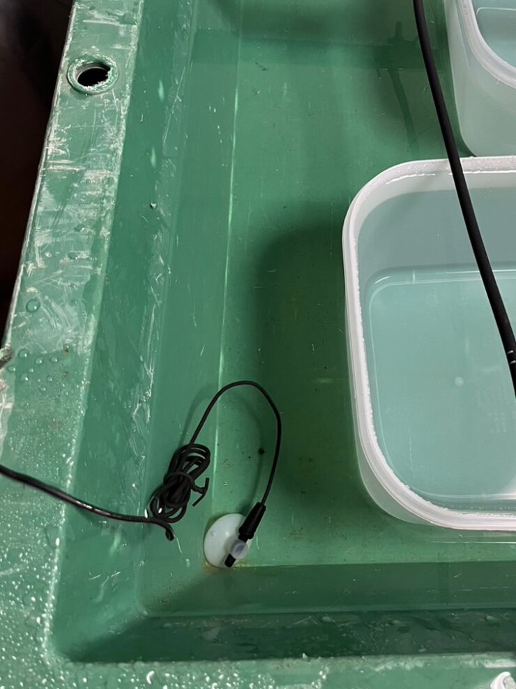 メダカ飼育に使う水温計