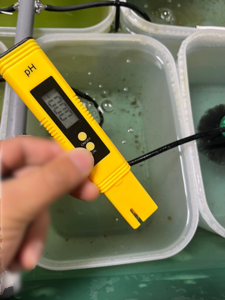 pH測定器でメダカの加温飼育水を測定する