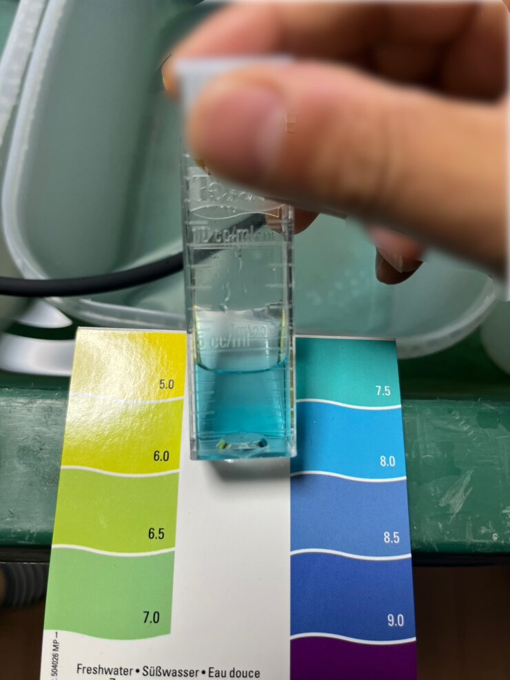 ph水質検査薬でメダカの加温飼育水を測定する