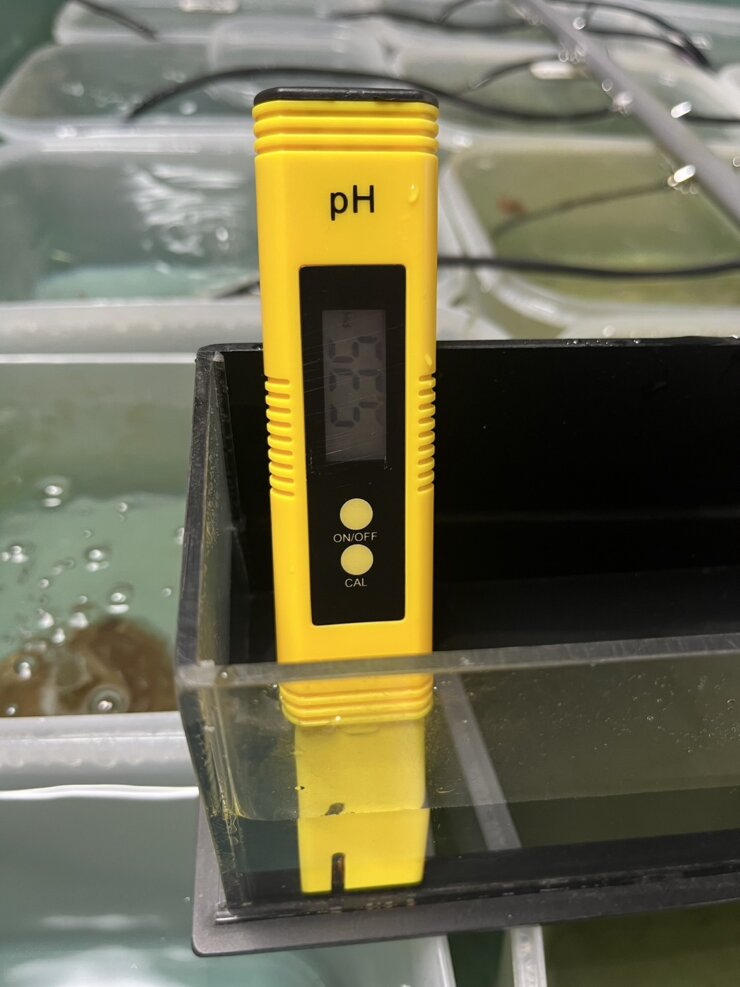 pH測定器でメダカの加温飼育水を測定する