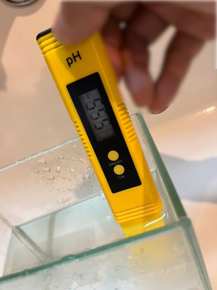 pH測定器で水道水の水質を検査する
