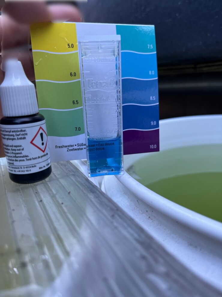 ペーハー検査試薬(BTB溶液)でグリーンウォーターの水質を検査する