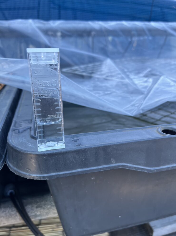 ペーハー検査試薬(BTB溶液)で屋外の飼育容器内の水質を検査する
