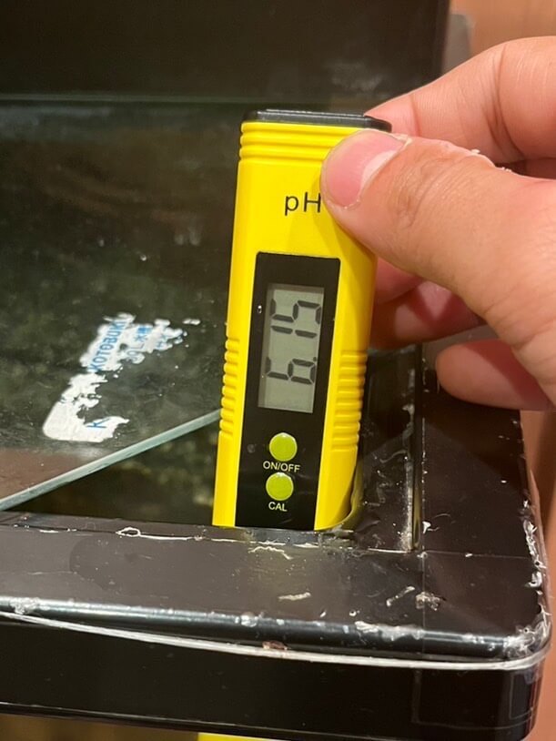 水槽の水質検査(PH検査)