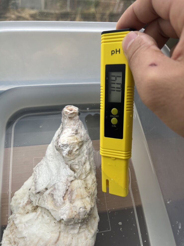 酸性の水を牡蠣殻を使ってアルカリ性にする(水質検査)