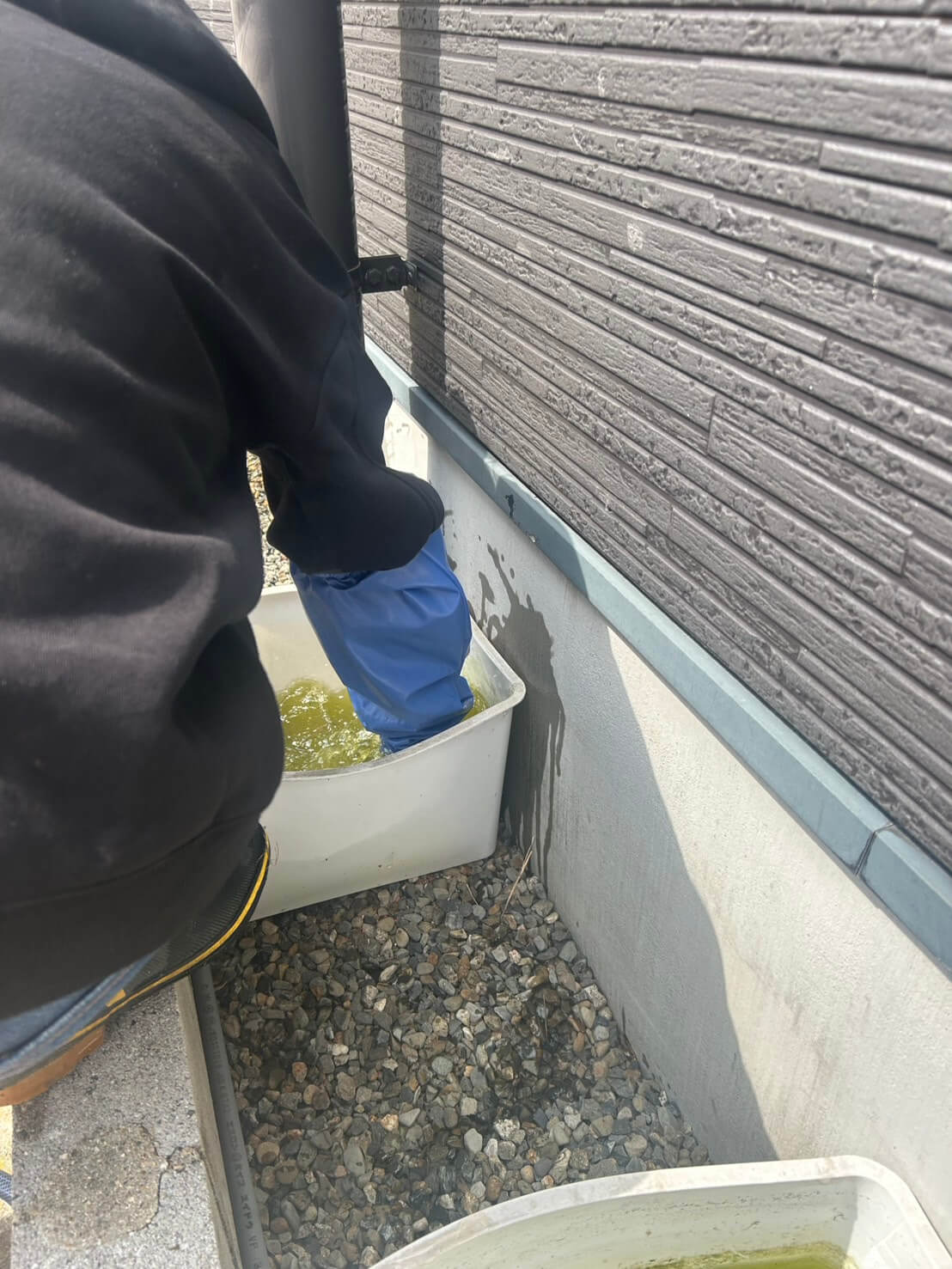メダカの水換え作業