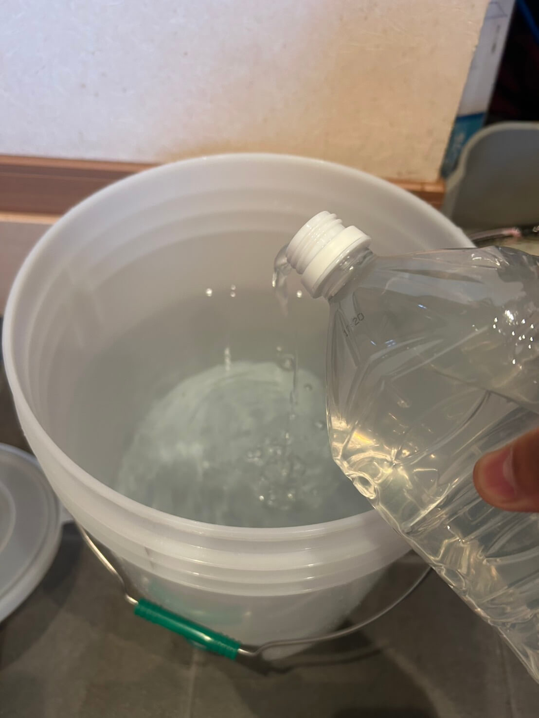 ゾウリムシの培養の様子