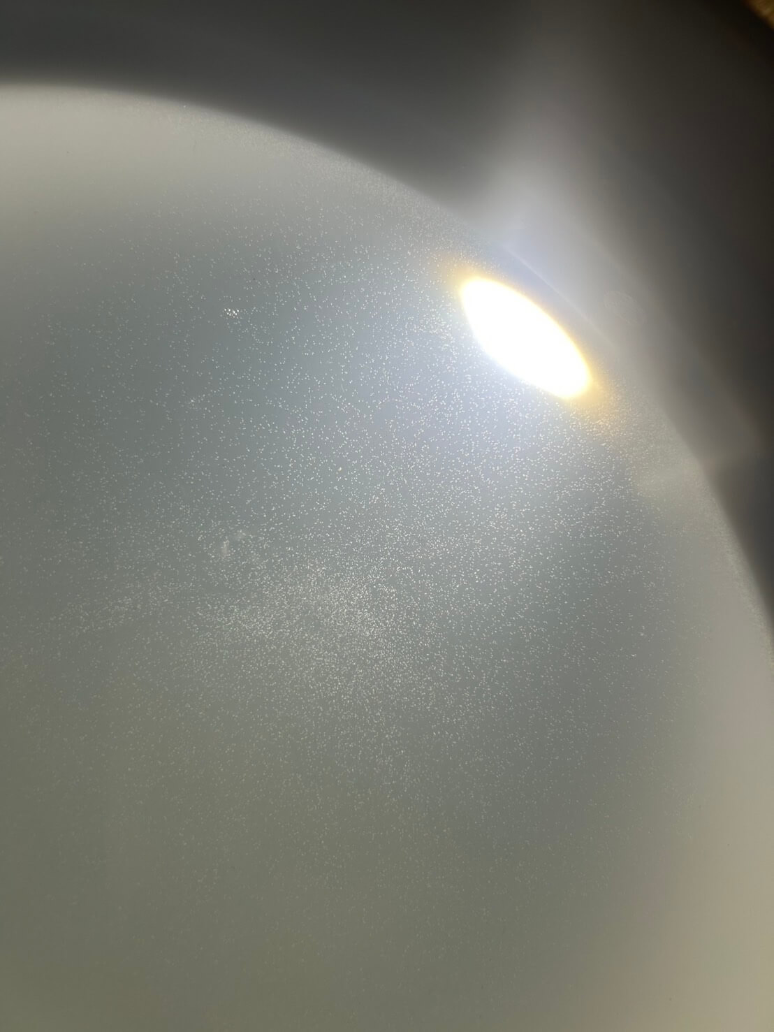 ゾウリムシを培養する様子
