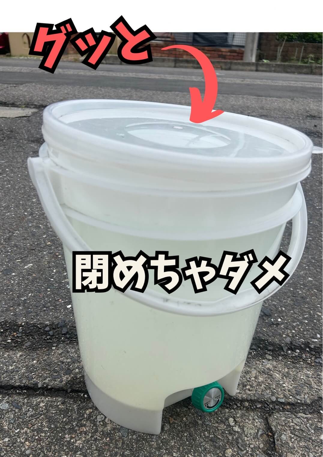 ゾウリムシを培養する様子