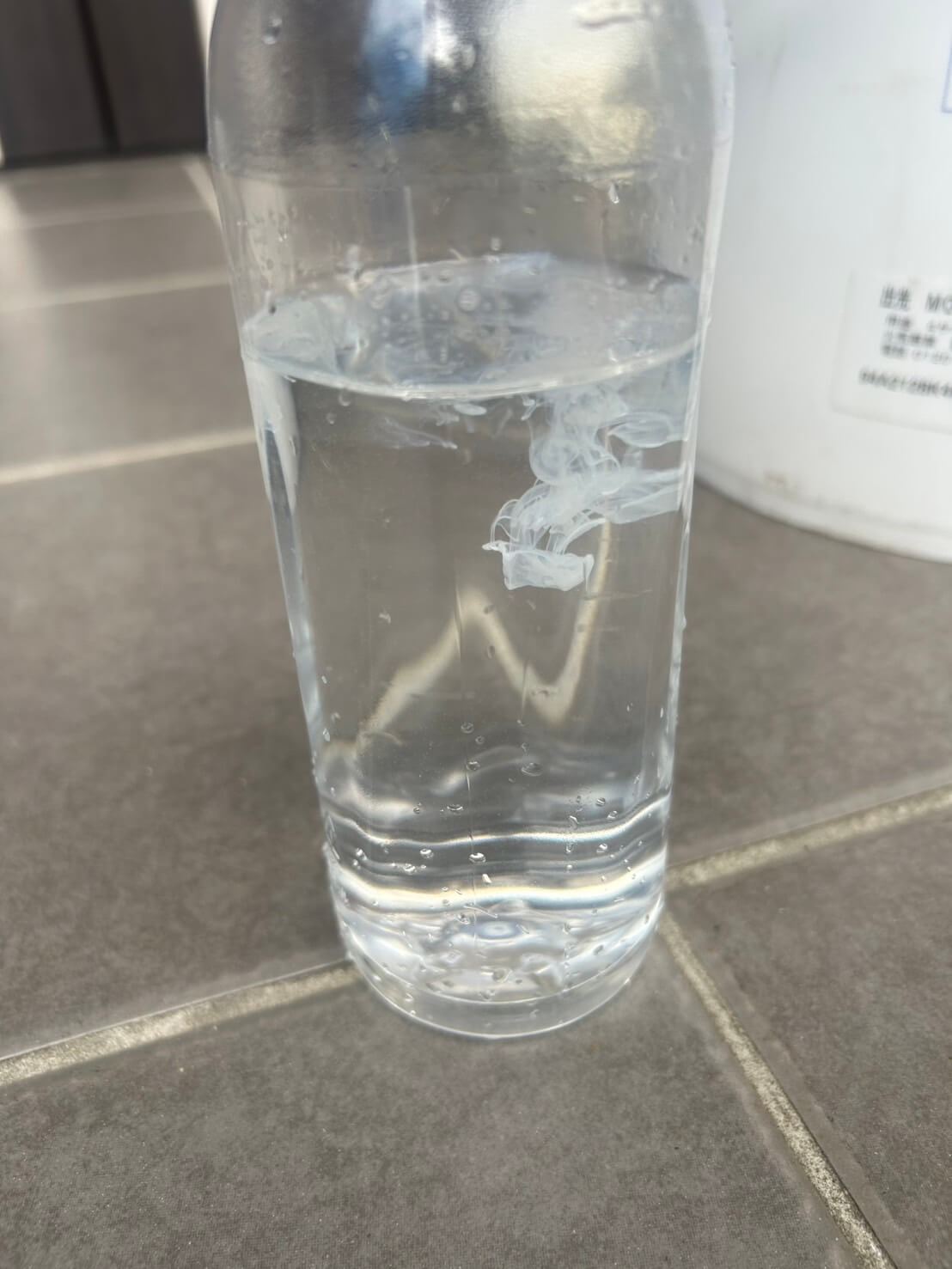 ゾウリムシを培養する様子