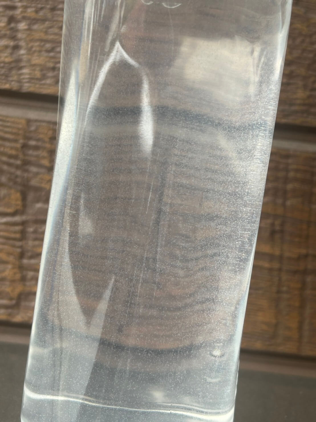 ゾウリムシを培養する様子