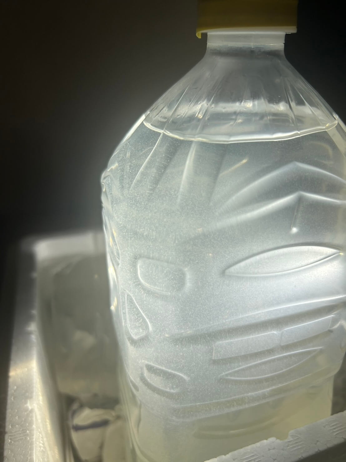 ゾウリムシを培養する様子