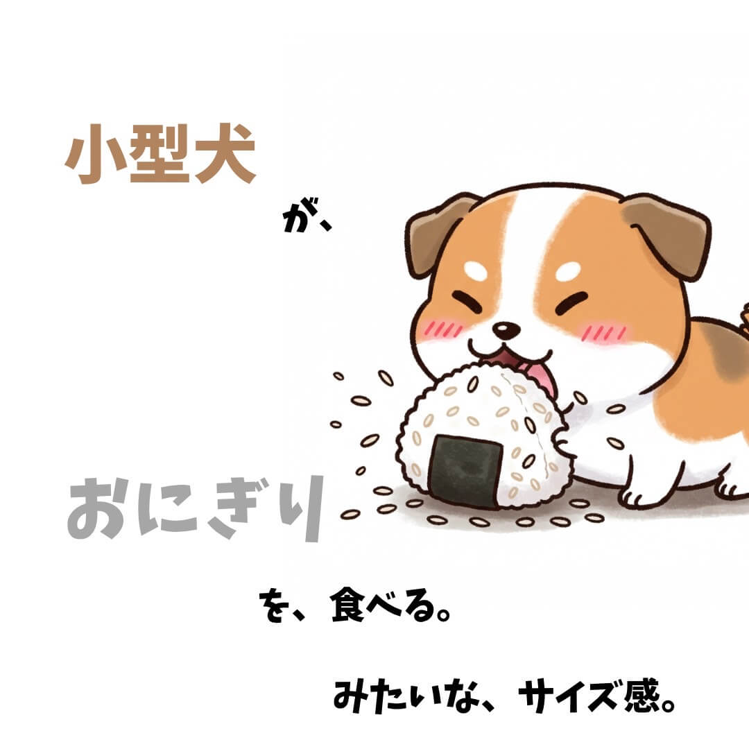 ゾウリムシの大きさを例えるためのイラスト