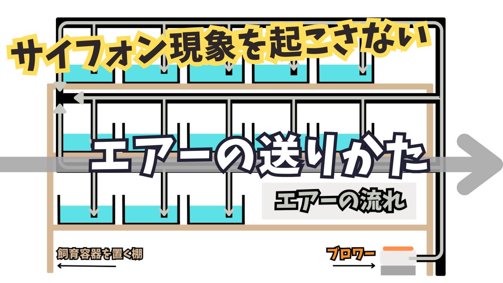アイキャッチ画像(エアレーションで水が逆流)