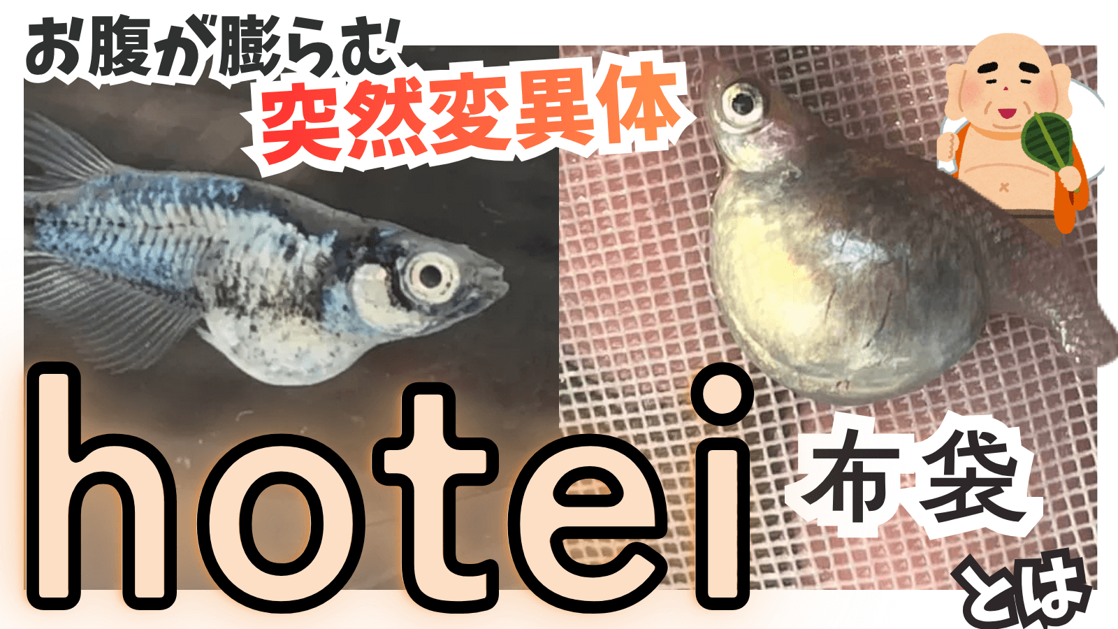 ブログのアイキャッチ 画像