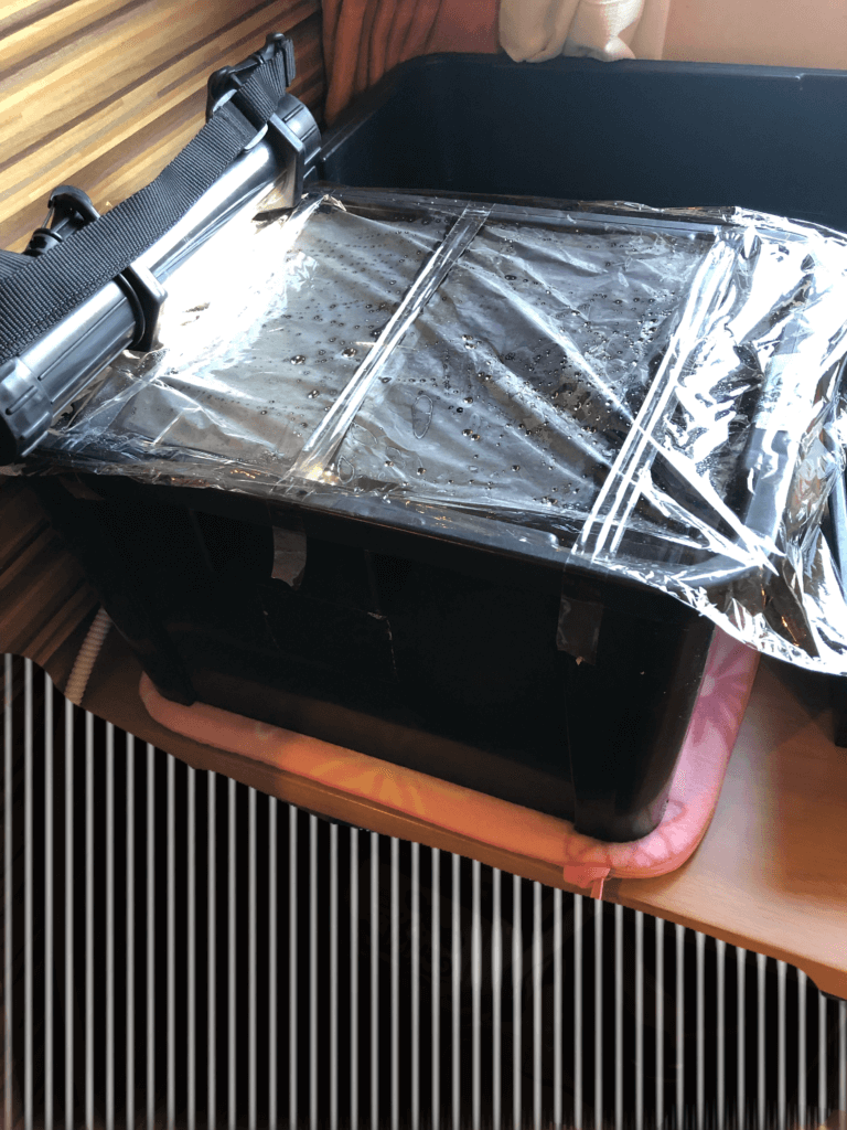 メダカ容器の加温