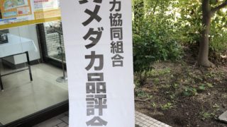 メダカ品評会(2018年秋)