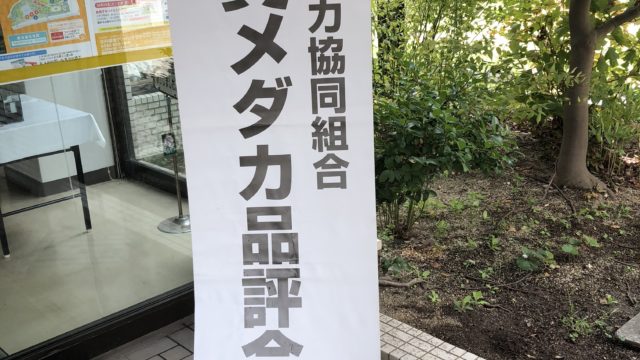 メダカ品評会(2018年秋)