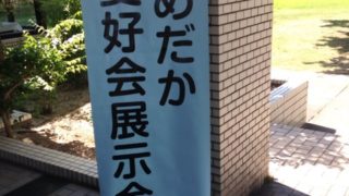 メダカの展示会