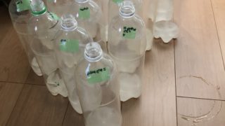 ゾウリムシのペットボトル