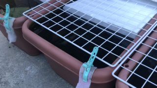 メダカ容器の凍結対策