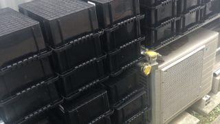 メダカラックとメダカ容器