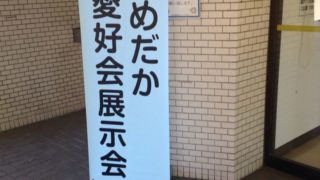 2017年春のメダカの展示会
