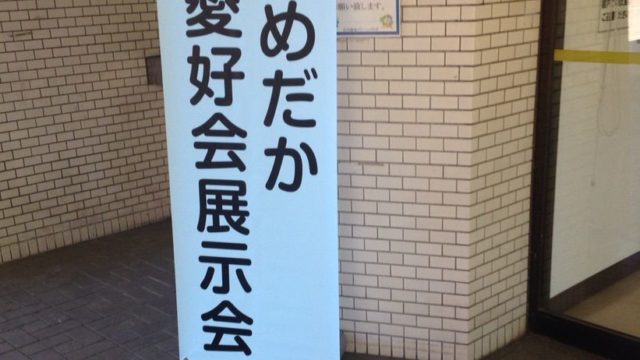 2017年春のメダカの展示会