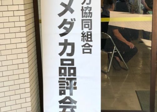 鑑賞メダカ品評会(2017年秋)