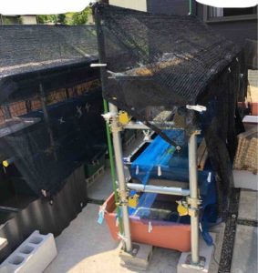 DIYで、メダカの日除け対策と暑さ対策をする