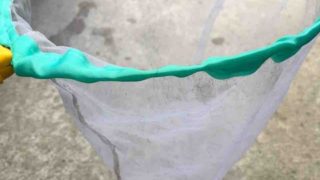 ミジンコを捕獲する用の網