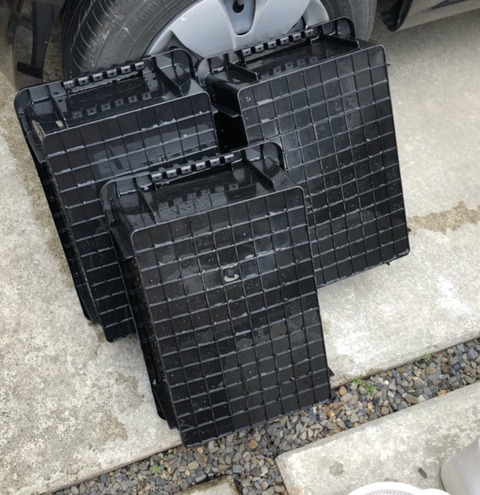 メダカ容器