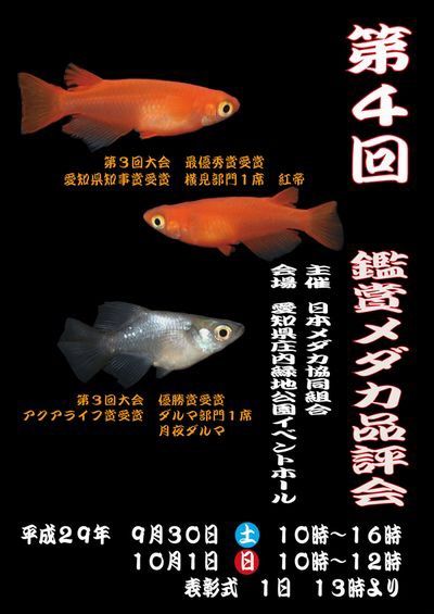 第四回鑑賞メダカ品評会